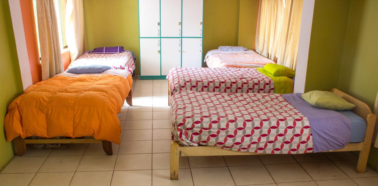 The Grasshopper Hostel 쿠스코 외부 사진